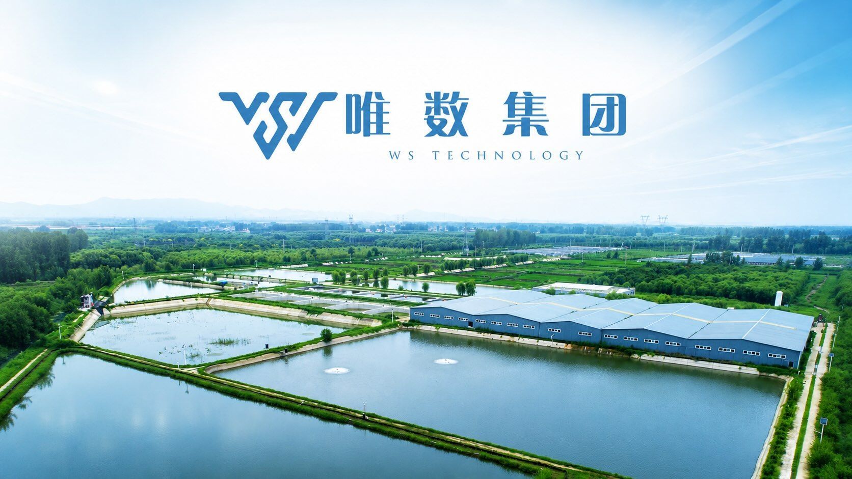 唯数集团 WS Technology