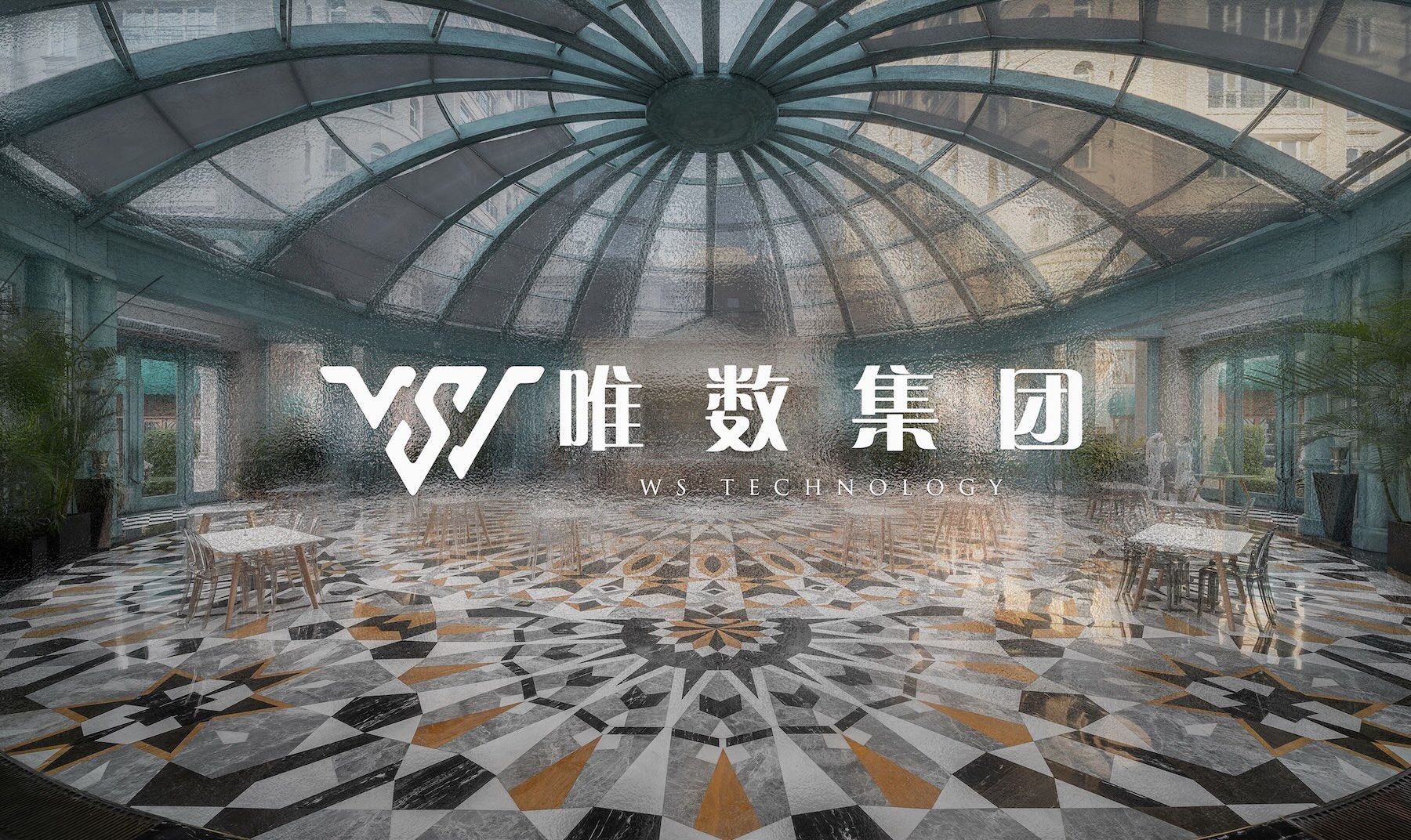 唯数集团 WS Technology