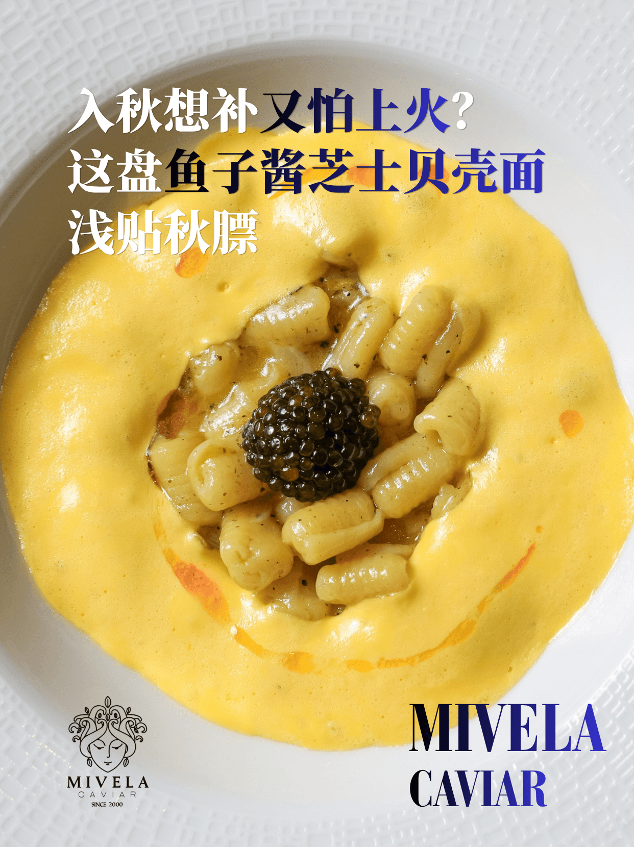 一口知秋 | 鱼子酱芝士贝壳面