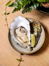 米维拉×锦NISHIKI | 米其林日料的鎏金绮旅