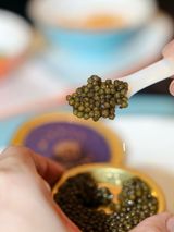 米维拉×福建菜馆|南北双珍在此相逢