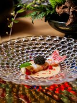 米维拉×锦NISHIKI | 米其林日料的鎏金绮旅